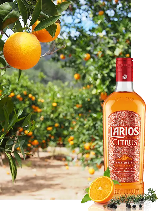 History larios citrus