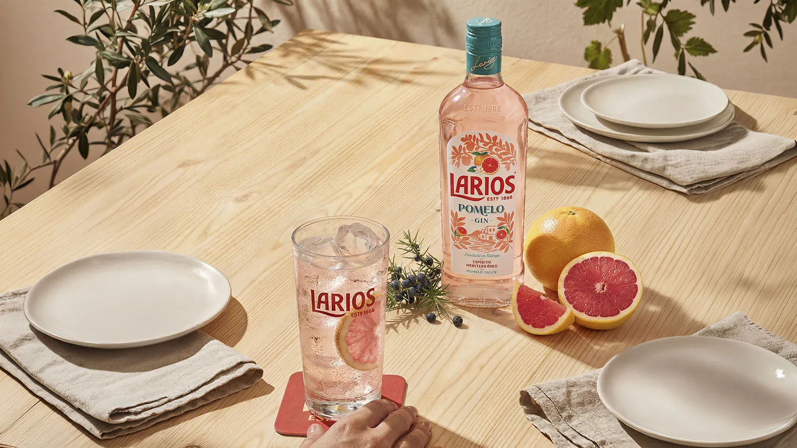 Table Setting Grapefruit Gin Bottle Glass Citrus Fruit Larios