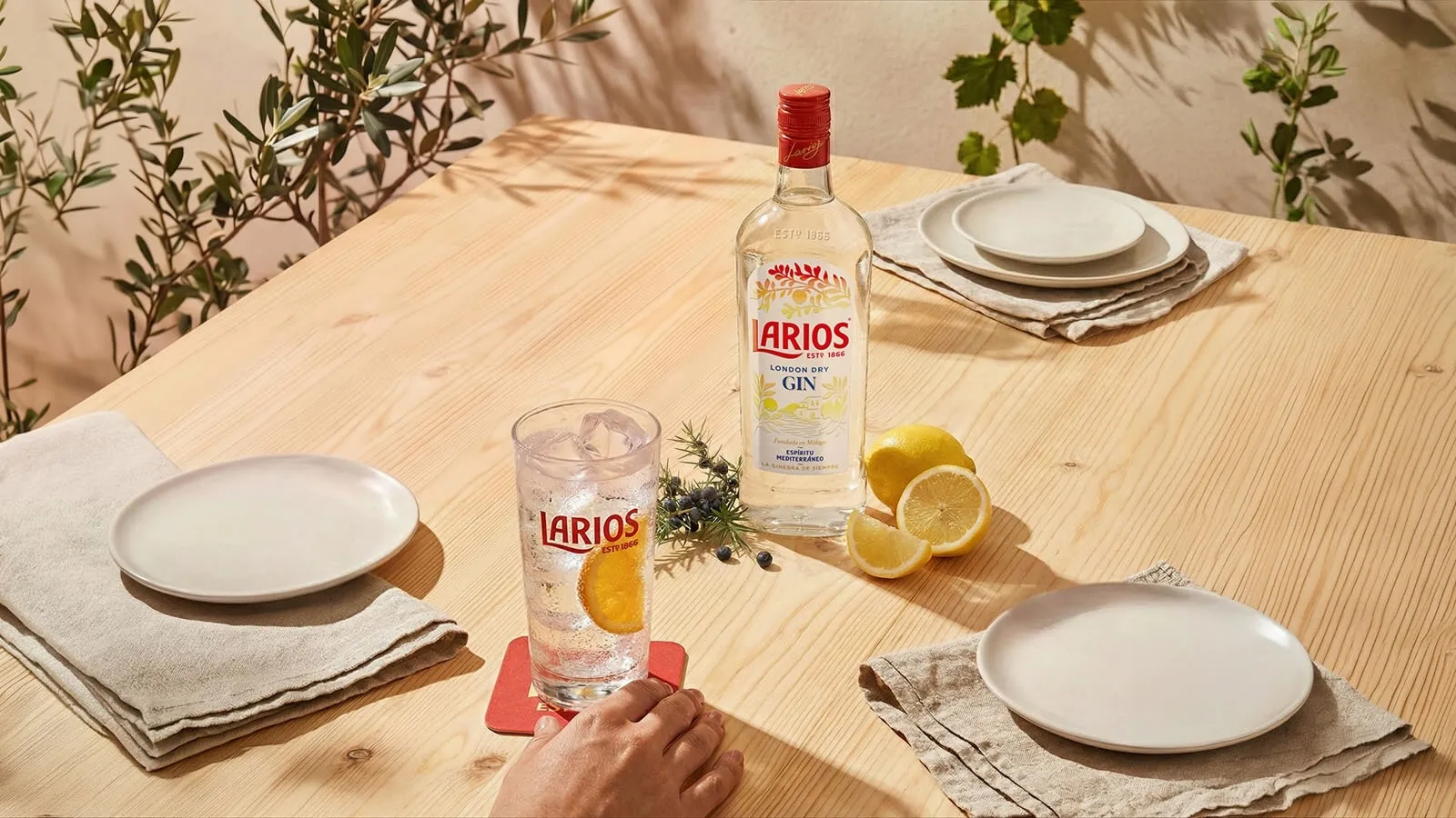 gin-cocktail-citrus-dining-table-larios