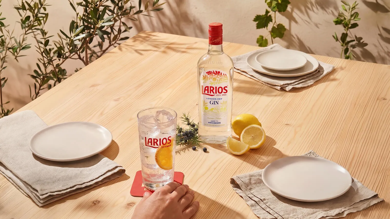 gin-cocktail-citrus-dining-table